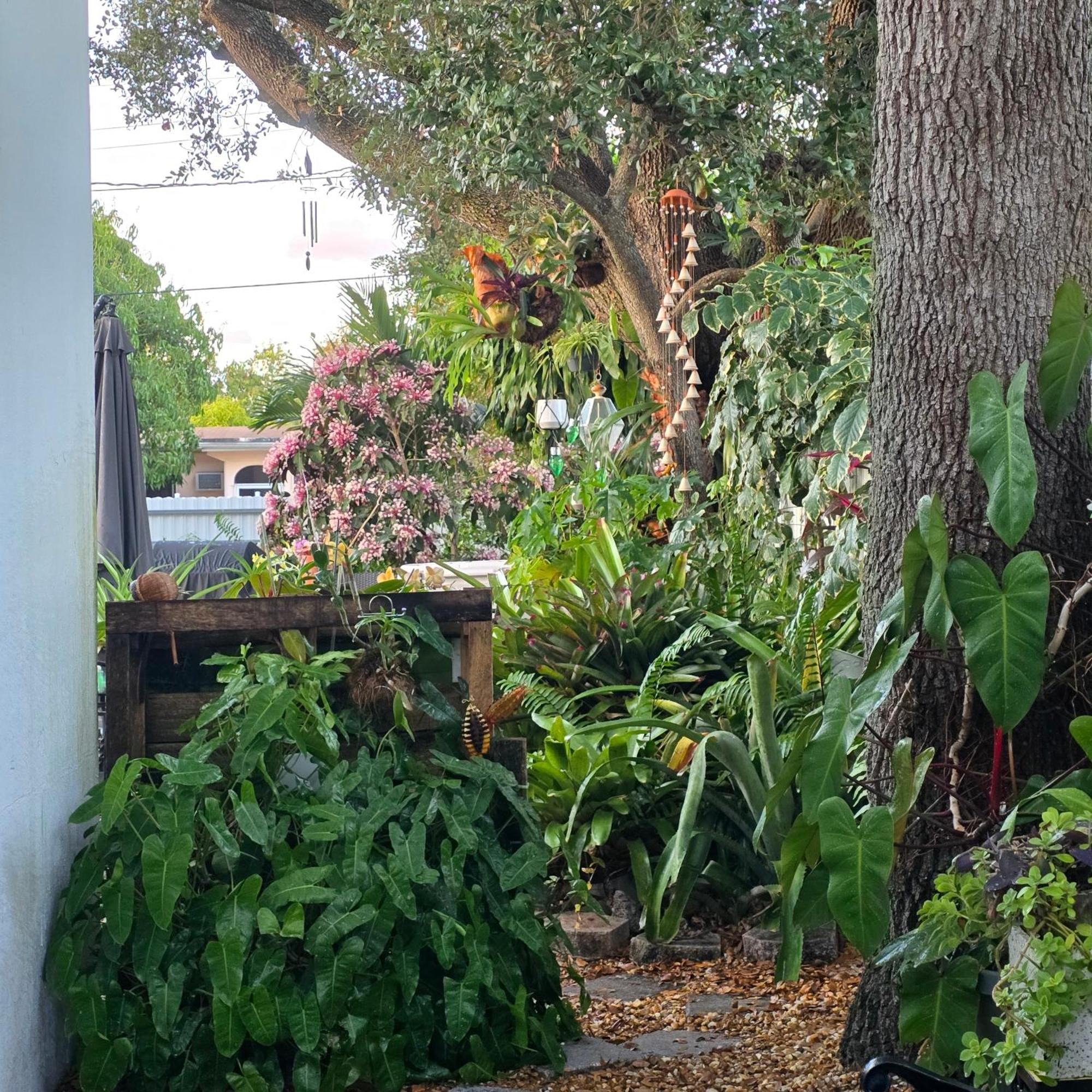 Suite Life At Chez Mercedes Miami Zewnętrze zdjęcie